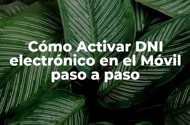 Cómo Activar Dni Electrónico en el Móvil Paso a Paso 2 ¿Qué es el DNI electrónico y cómo funciona?