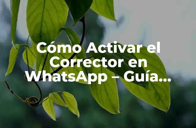 ¿Qué es la Función de Corrección en WhatsApp?