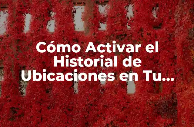 Cómo Activar el Historial de Ubicaciones en Tu Dispositivo