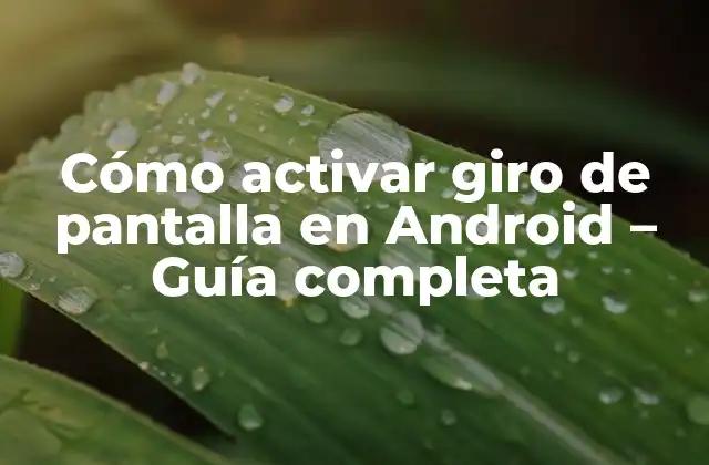 Cómo Activar Giro de Pantalla en Android – Guía Completa