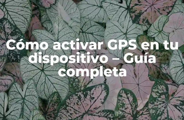 Cómo Activar Gps en Tu Dispositivo – Guía Completa
