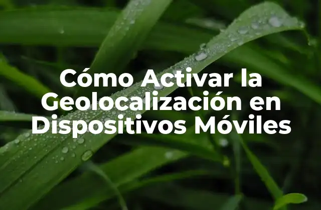 Cómo Activar la Geolocalización en Dispositivos Móviles
