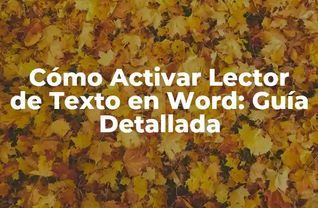 ¿Qué es el Lector de Texto en Word?