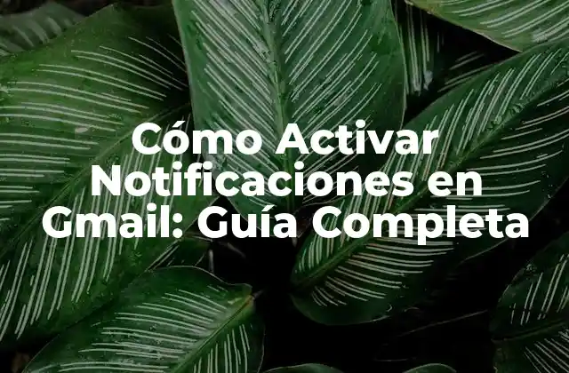 Cómo Activar Notificaciones en Gmail: Guía Completa