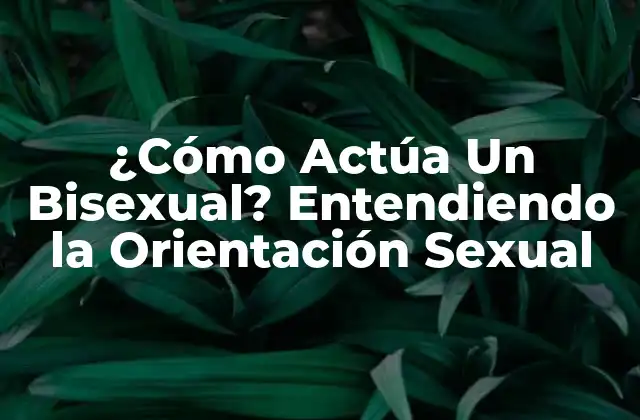 ¿cómo Actúa un Bisexual? Entendiendo la Orientación Sexual 2 Definiendo la Bisexualidad
