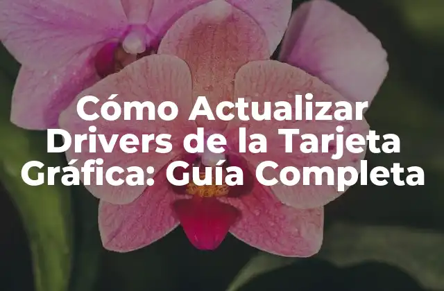 Cómo Actualizar Drivers de la Tarjeta Gráfica: Guía Completa