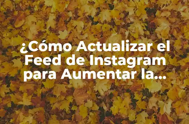 ¿cómo Actualizar el Feed de Instagram para Aumentar la Visibilidad?
