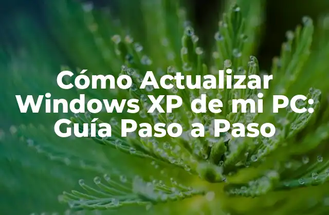 Por qué Debes Actualizar tu Windows XP