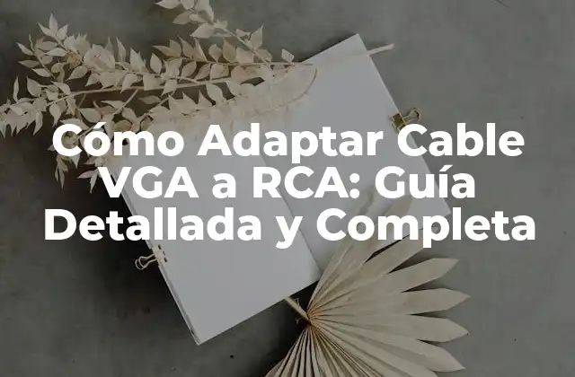 ¿Qué es VGA y qué es RCA?
