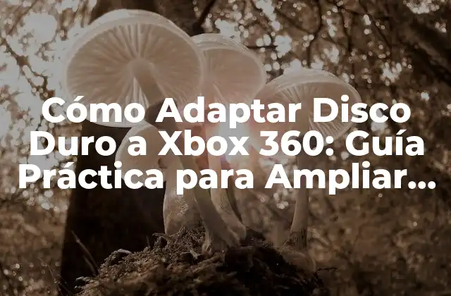 Cómo Adaptar Disco Duro a Xbox 360: Guía Práctica para Ampliar Tu Espacio de Almacenamiento