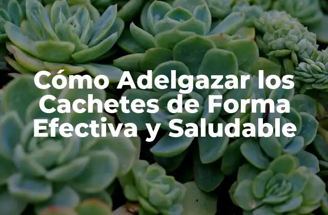 Cómo Adelgazar los Cachetes de Forma Efectiva y Saludable 2 ¿Por qué es Tan Difícil Adelgazar los Cachetes?