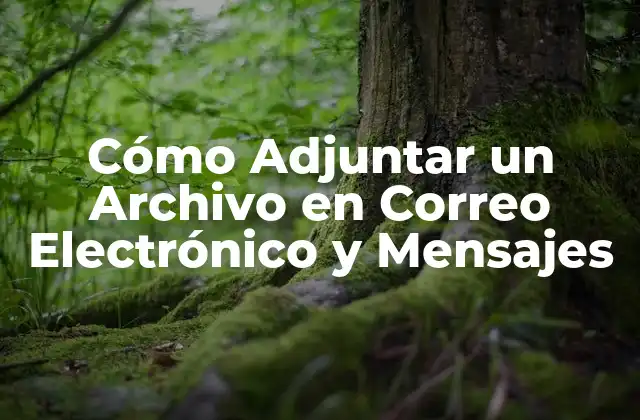 Cómo Adjuntar un Archivo en Correo Electrónico y Mensajes