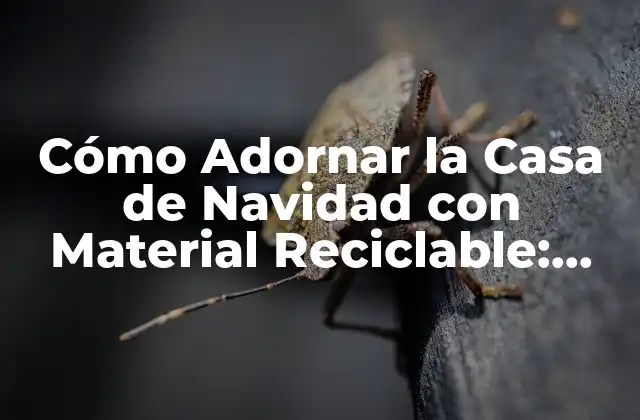 Cómo Adornar la Casa de Navidad con Material Reciclable: Ideas Ecológicas y Originales