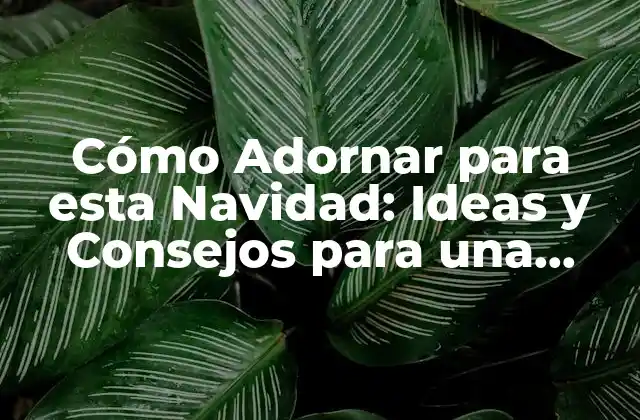 Cómo Adornar para Esta Navidad: Ideas y Consejos para una Celebración Inolvidable