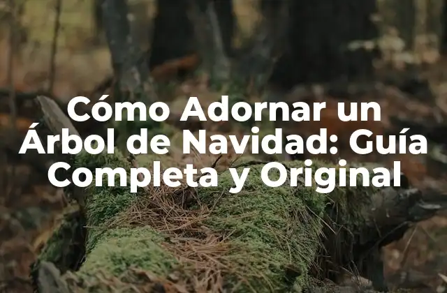 Cómo Adornar un Árbol de Navidad: Guía Completa y Original