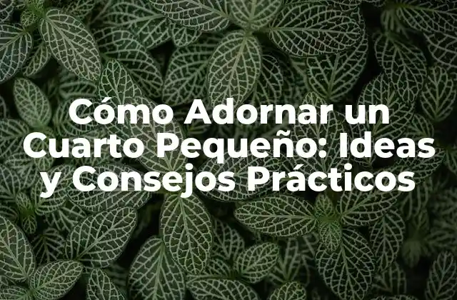 Cómo Adornar un Cuarto Pequeño: Ideas y Consejos Prácticos