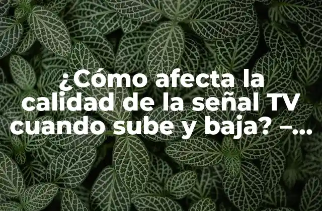¿cómo Afecta la Calidad de la Señal Tv Cuando Sube y Baja? – Guía Definitiva