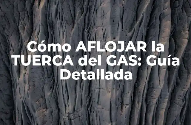 ¿Qué es la Tuerca del Gas y Cómo Funciona?