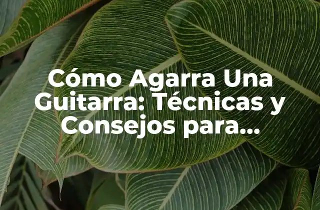 Cómo Agarra una Guitarra: Técnicas y Consejos para Principiantes