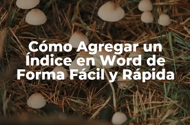 ¿Qué es un Índice en un Documento de Word?