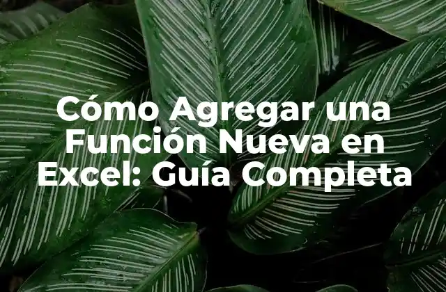 Cómo Agregar una Función Nueva en Excel: Guía Completa 2 ¿Por qué Agregar una Función Nueva en Excel es Importante?
