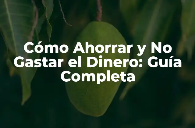 Cómo Ahorrar y No Gastar el Dinero: Guía Completa