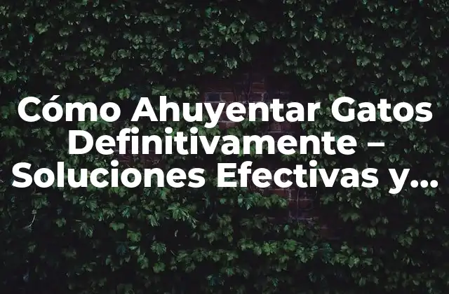 Cómo Ahuyentar Gatos Definitivamente - Soluciones Efectivas y Permanentes 2 ¿Por qué los Gatos se Sienten Atraídos por mi Casa o Jardín?