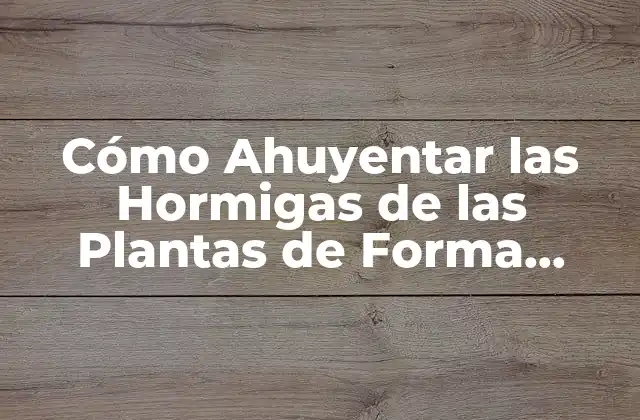 Cómo Ahuyentar las Hormigas de las Plantas de Forma Natural y Efectiva