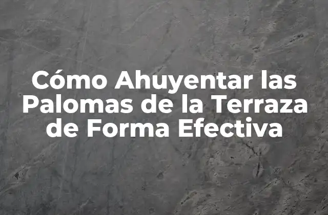 Cómo Ahuyentar las Palomas de la Terraza de Forma Efectiva