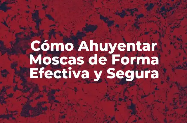 Cómo Ahuyentar Moscas de Forma Efectiva y Segura 2 ¿Por qué las Moscas se Sienten Atraídas por Nuestros Hogares?