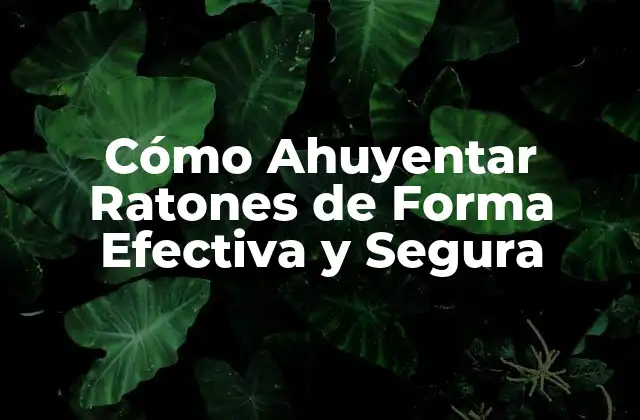 Cómo Ahuyentar Ratones de Forma Efectiva y Segura
