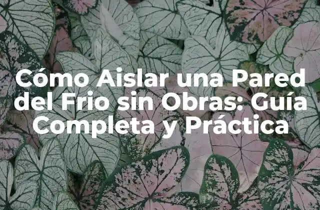 Cómo Aislar una Pared Del Frio sin Obras: Guía Completa y Práctica