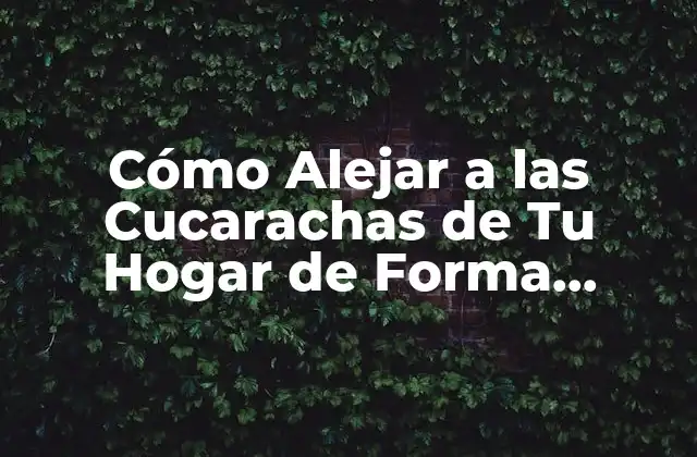 Cómo Alejar a las Cucarachas de Tu Hogar de Forma Permanente