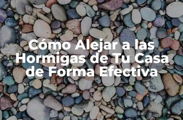 Cómo Alejar a las Hormigas de Tu Casa de Forma Efectiva