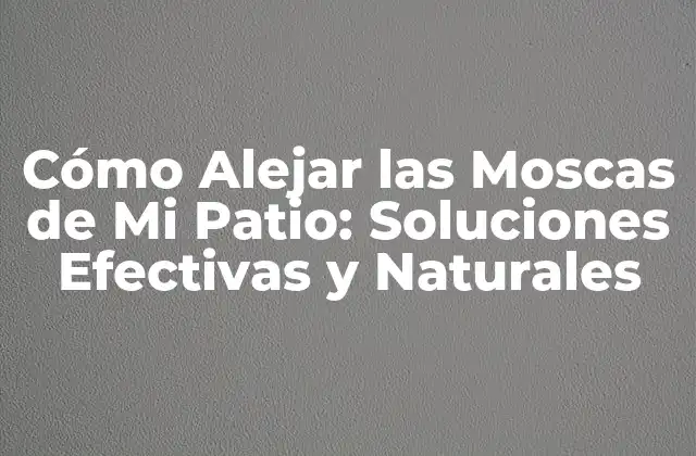 Cómo Alejar las Moscas de Mi Patio: Soluciones Efectivas y Naturales