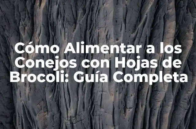 Cómo Alimentar a los Conejos con Hojas de Brocoli: Guía Completa
