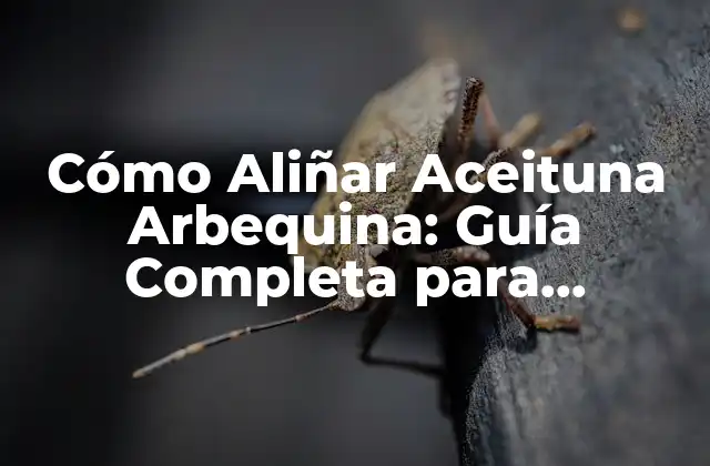 Cómo Aliñar Aceituna Arbequina: Guía Completa para Aprovechar Al Máximo Su Sabor