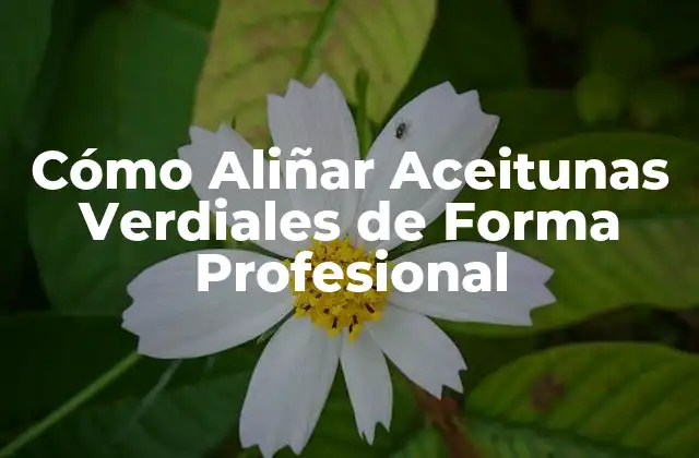 Cómo Aliñar Aceitunas Verdiales de Forma Profesional