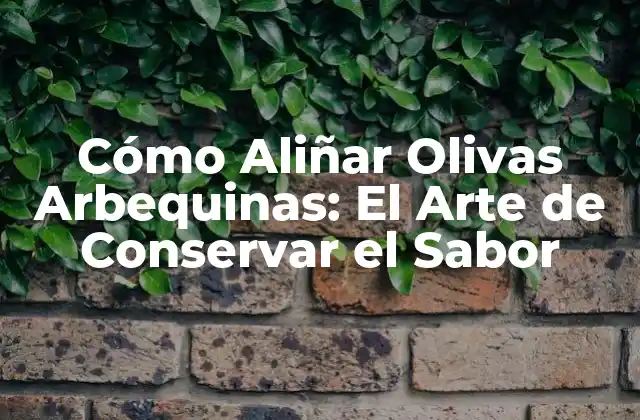 Cómo Aliñar Olivas Arbequinas: el Arte de Conservar el Sabor