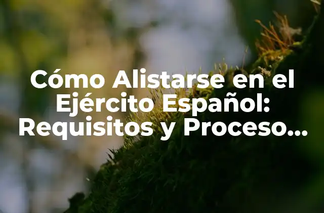 Cómo Alistarse en el Ejército Español: Requisitos y Proceso de Incorporación