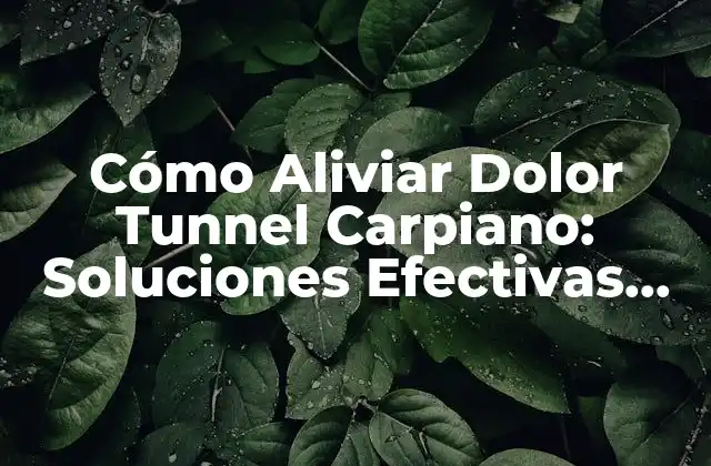Cómo Aliviar Dolor Tunnel Carpiano: Soluciones Efectivas para Reducir el Dolor y Recuperar la Movilidad
