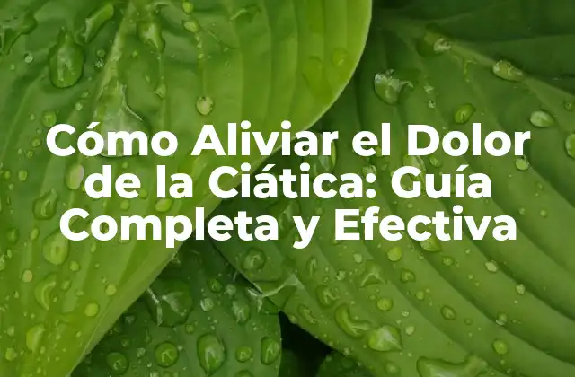 Cómo Aliviar el Dolor de la Ciática: Guía Completa y Efectiva 2 Causas del Dolor de la Ciática: ¿Qué Produce Este Problema?