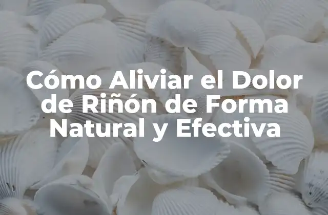 Cómo Aliviar el Dolor de Riñón de Forma Natural y Efectiva