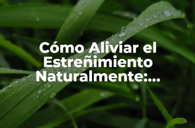 Cómo Aliviar el Estreñimiento Naturalmente: Soluciones Efectivas
