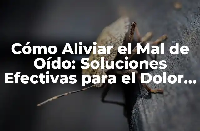 Cómo Aliviar el Mal de Oído: Soluciones Efectivas para el Dolor de Oído