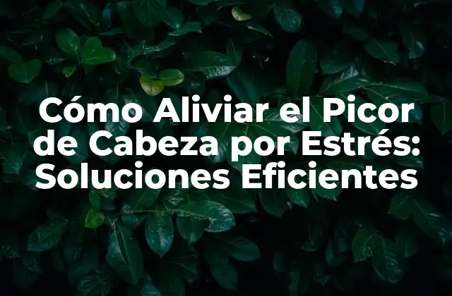 Cómo Aliviar el Picor de Cabeza por Estrés: Soluciones Eficientes