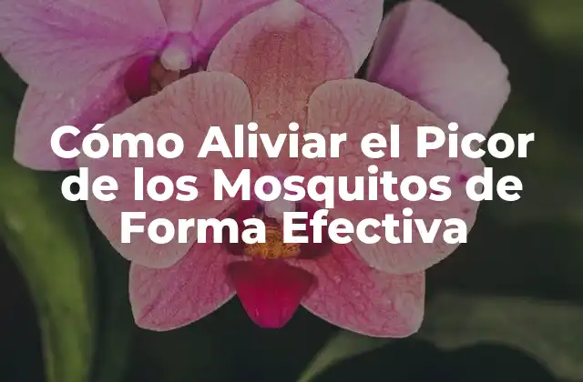 Cómo Aliviar el Picor de los Mosquitos de Forma Efectiva 2 ¿Por qué los Mosquitos Pican y Causan Picor?