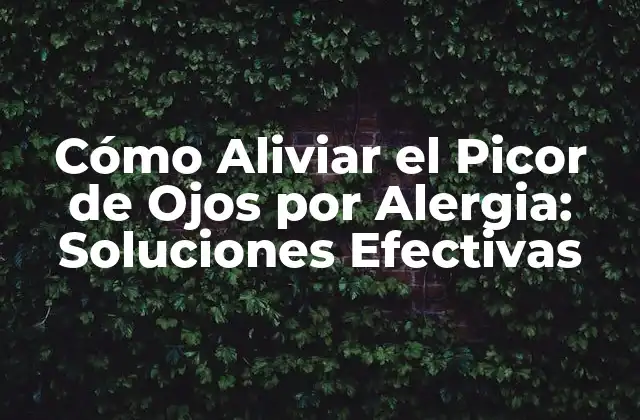 Cómo Aliviar el Picor de Ojos por Alergia: Soluciones Efectivas