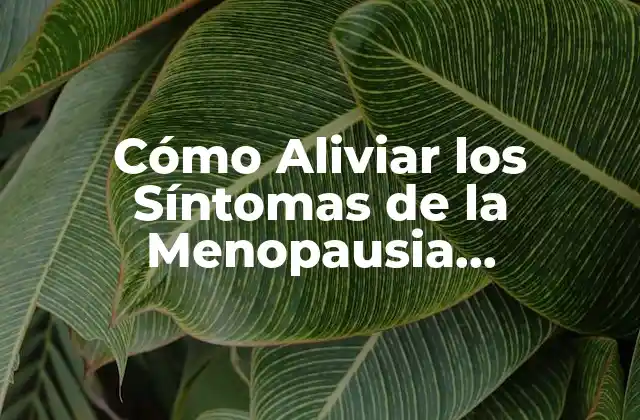 Cómo Aliviar los Síntomas de la Menopausia Naturalmente