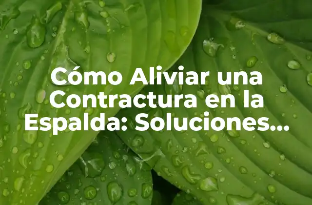 Cómo Aliviar una Contractura en la Espalda: Soluciones Naturales y Efectivas